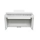 ECHORD DPX100 BIANCO LUCIDO